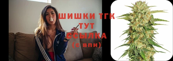 молекула духа Бугульма