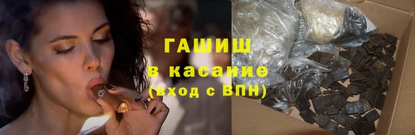 индика Осташков