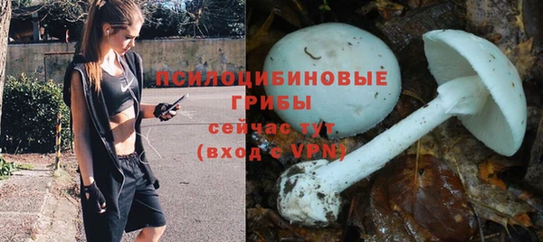 эйфоретик Бронницы