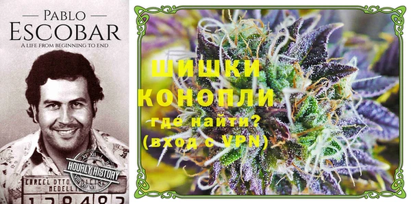молекула духа Бугульма
