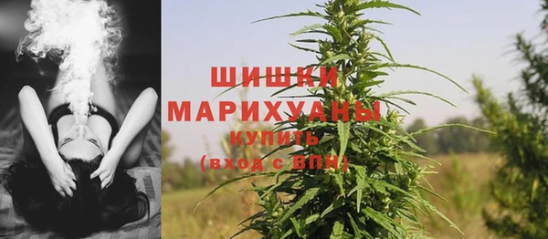 молекула духа Бугульма