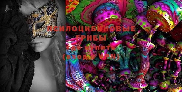 молекула духа Бугульма